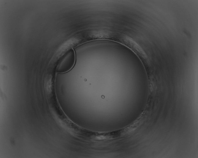 X0000090990163200708021530