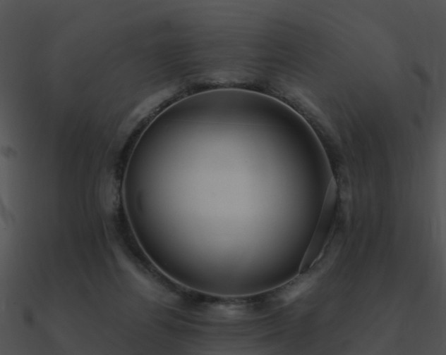 X0000090990164200708021530