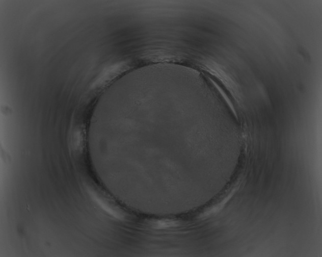 X0000090990165200708021530