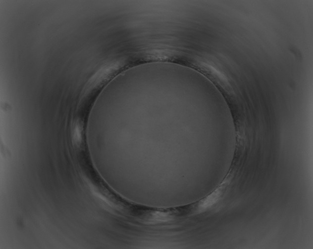X0000090990166200708021530