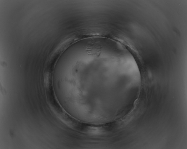 X0000090990167200708021530