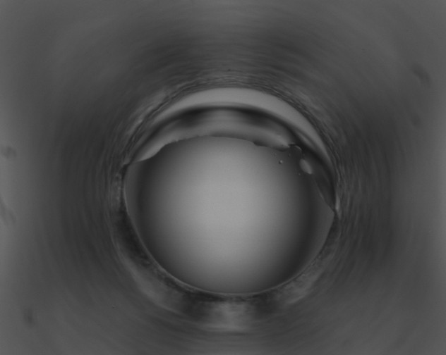 X0000090990168200708021530