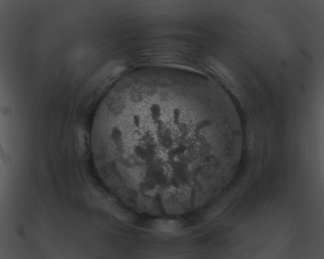 X0000090990169200708021530