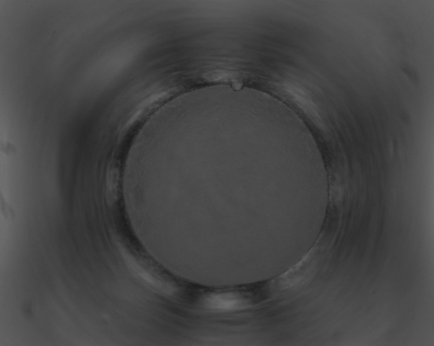 X0000090990171200708021530