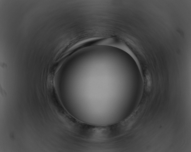 X0000090990172200708021530