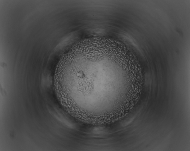 X0000090990173200708021530