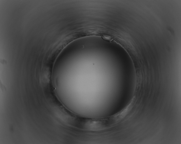 X0000090990174200708021530