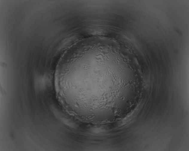 X0000090990175200708021530