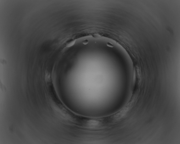 X0000090990176200708021530
