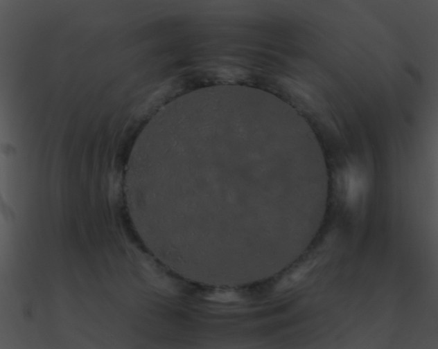 X0000090990177200708021530