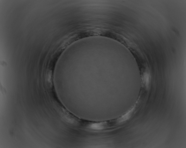 X0000090990178200708021530