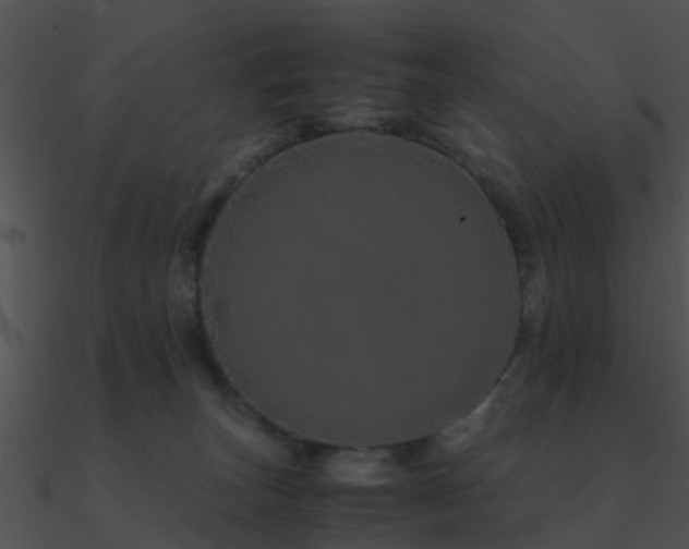 X0000090990179200708021530