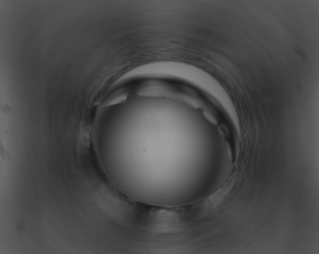 X0000090990180200708021530