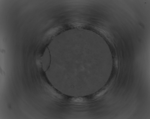 X0000090990181200708021530