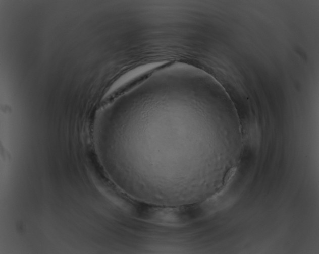 X0000090990182200708021530