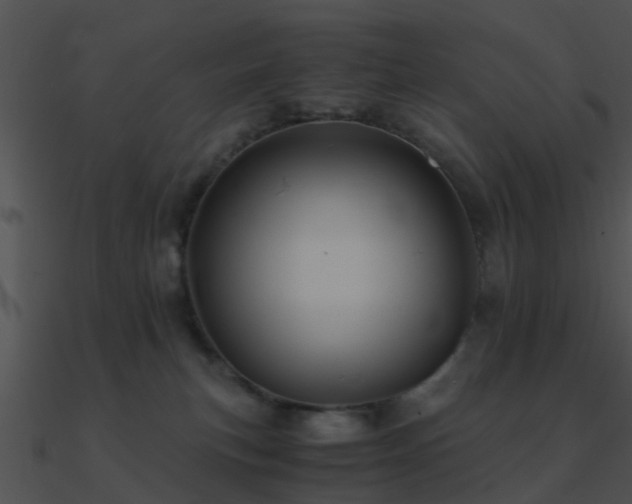 X0000090990183200708021530