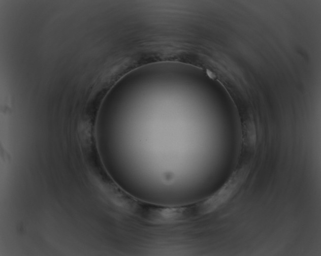 X0000090990184200708021530