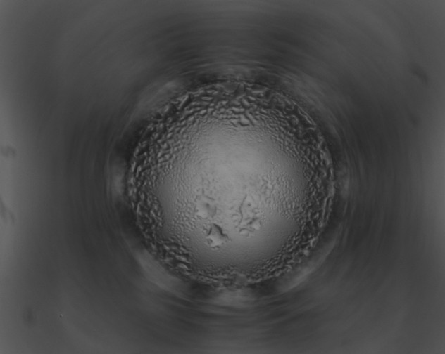 X0000090990185200708021530
