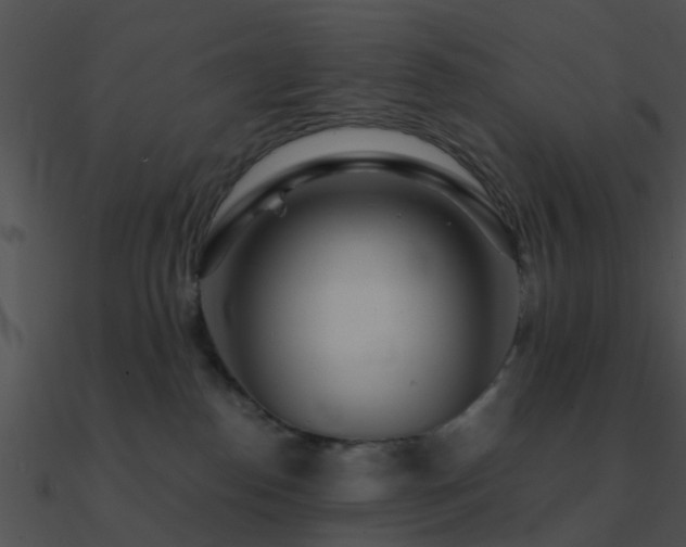 X0000090990186200708021530