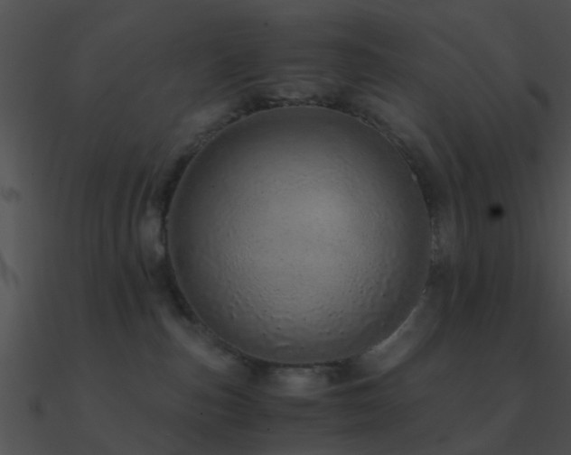X0000090990187200708021530