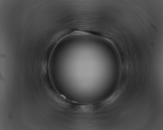 X0000090990188200708021530