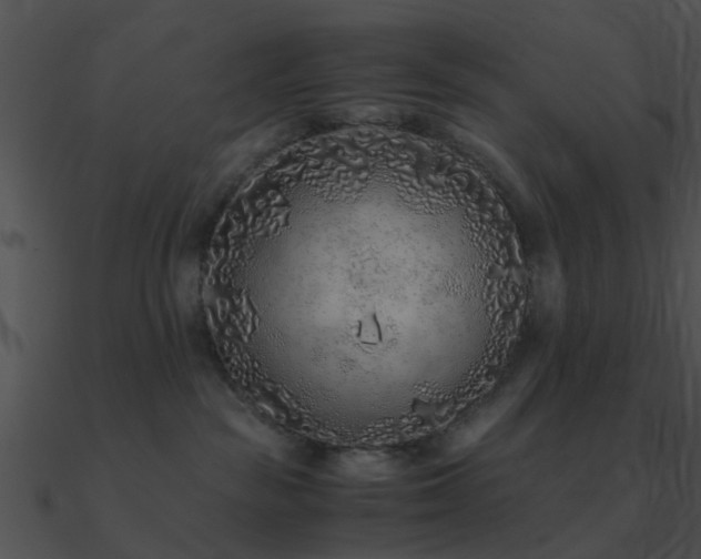 X0000090990189200708021530