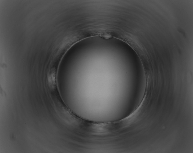 X0000090990190200708021530