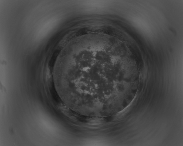 X0000090990191200708021530