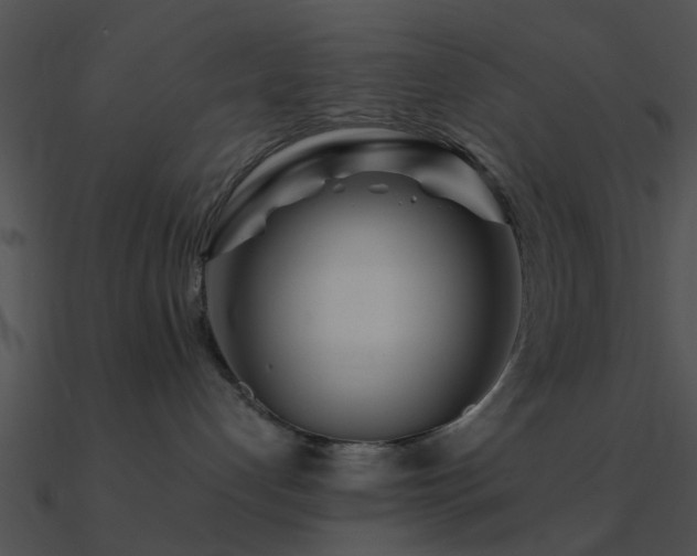 X0000090990192200708021531
