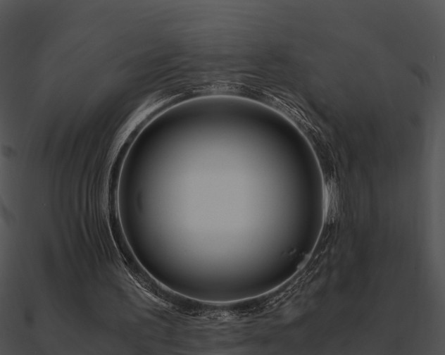 X0000090990195200708021530
