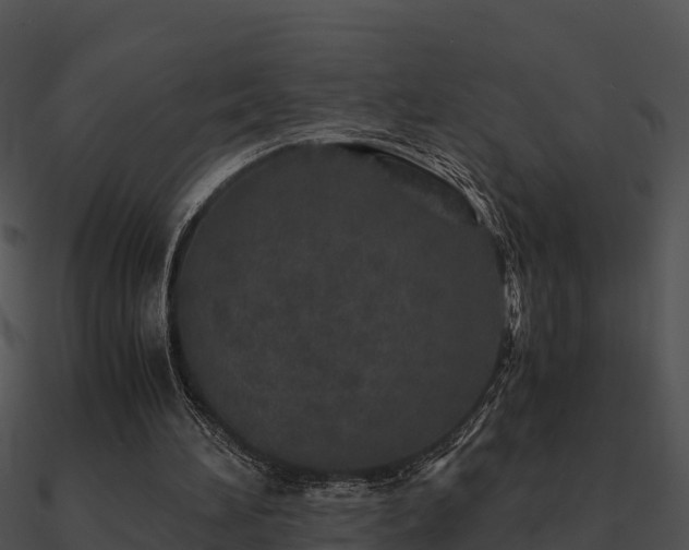 X0000090990196200708021530
