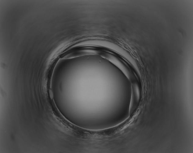 X0000090990197200708021530