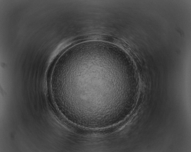 X0000090990198200708021530