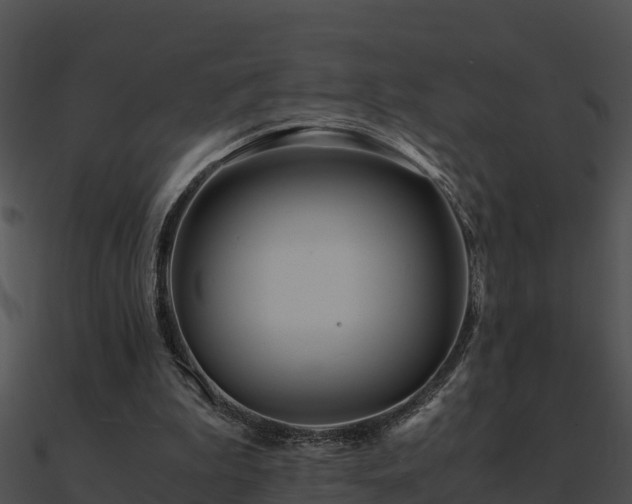 X0000090990199200708021530