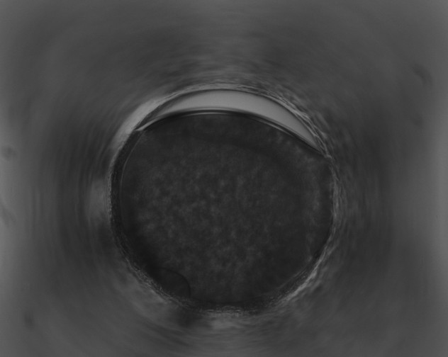 X0000090990200200708021530
