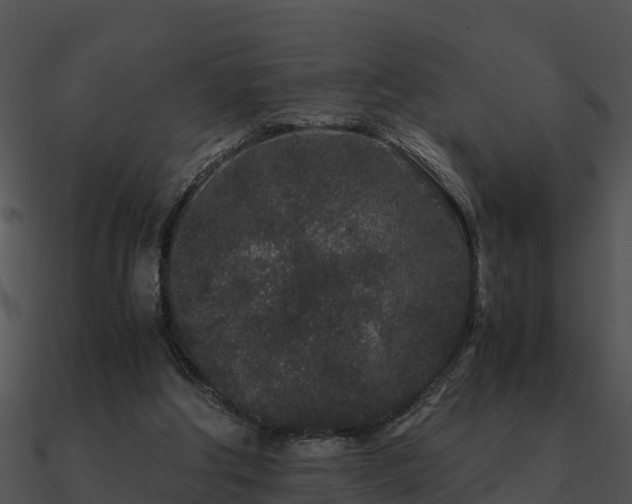 X0000090990202200708021530