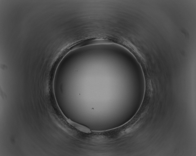 X0000090990203200708021530