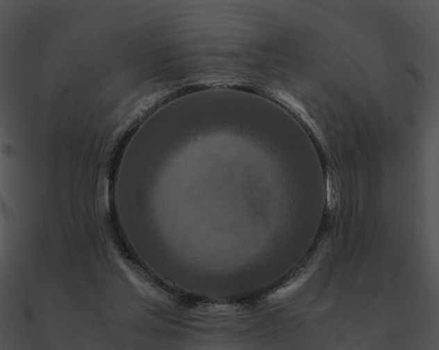 X0000090990205200708021530