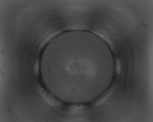 X0000090990206200708021530