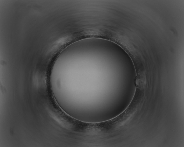 X0000090990207200708021530