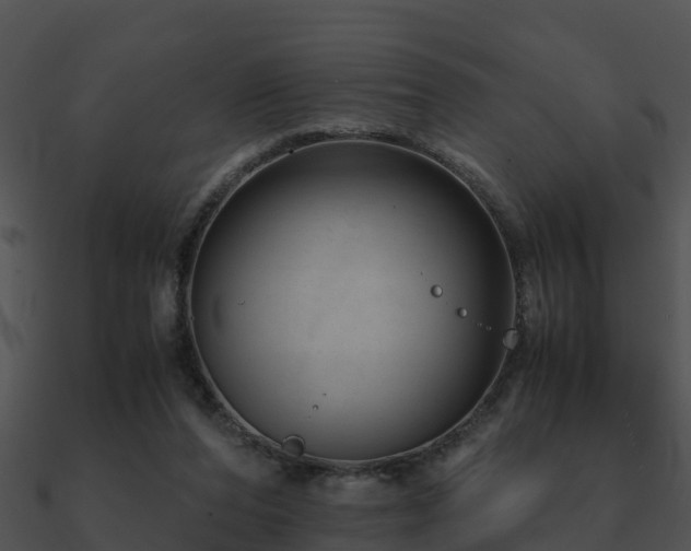X0000090990208200708021530