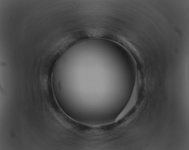 X0000090990209200708021530