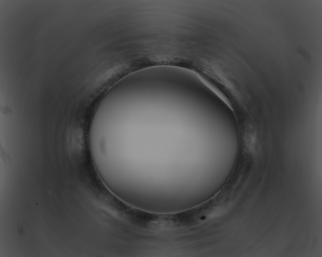 X0000090990211200708021529