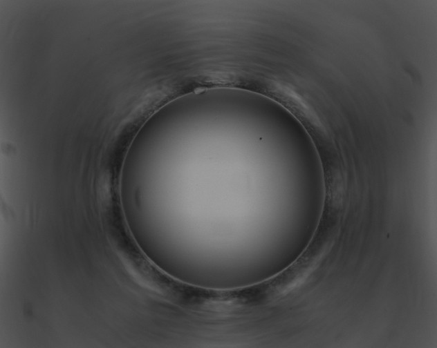 X0000090990213200708021529