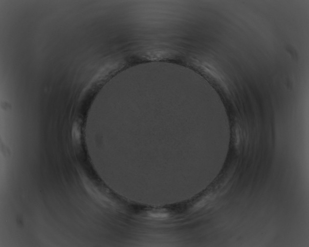 X0000090990214200708021529