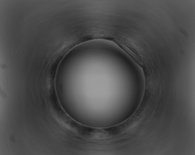 X0000090990215200708021529