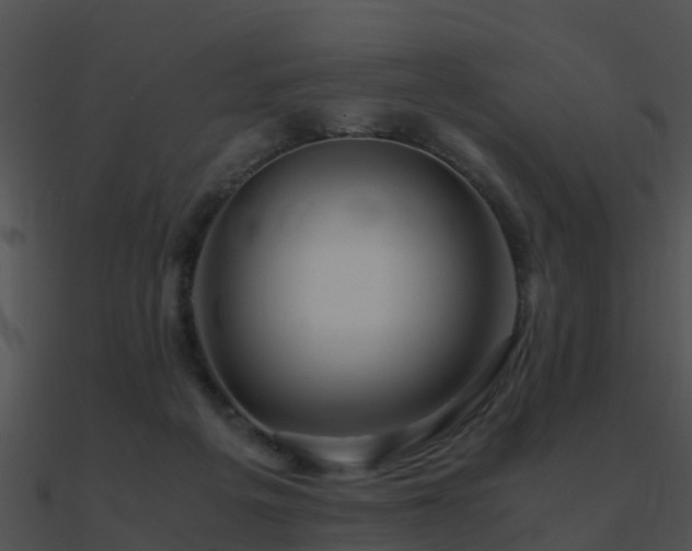 X0000090990217200708021529
