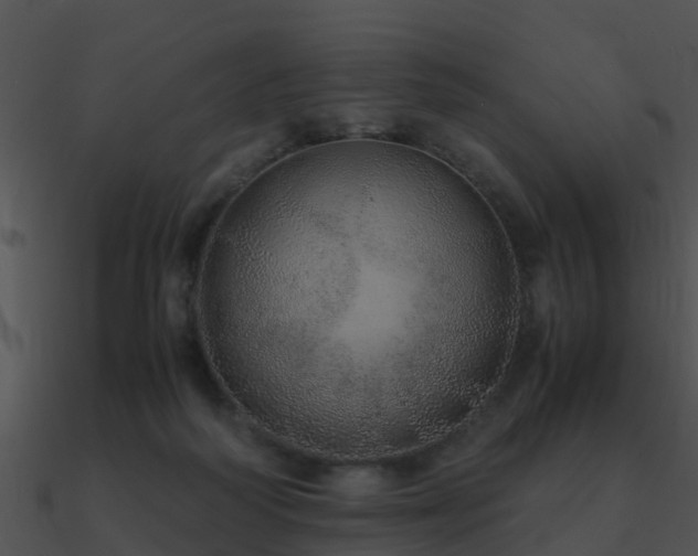 X0000090990218200708021529