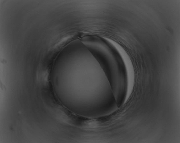 X0000090990219200708021529