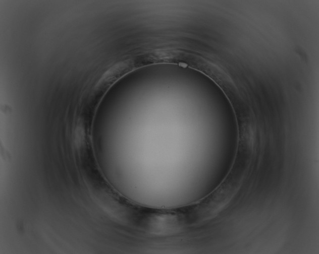 X0000090990220200708021529
